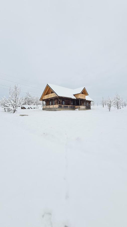 Casa Bunicilor Din Oncesti Villa Екстериор снимка