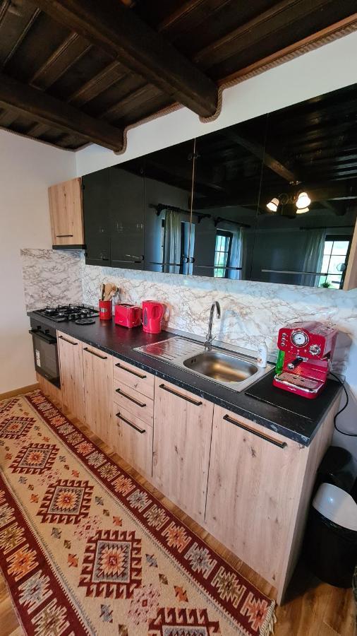 Casa Bunicilor Din Oncesti Villa Екстериор снимка