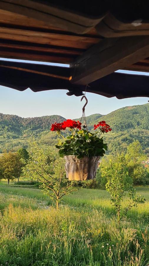 Casa Bunicilor Din Oncesti Villa Екстериор снимка