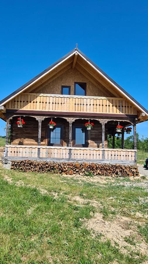 Casa Bunicilor Din Oncesti Villa Екстериор снимка