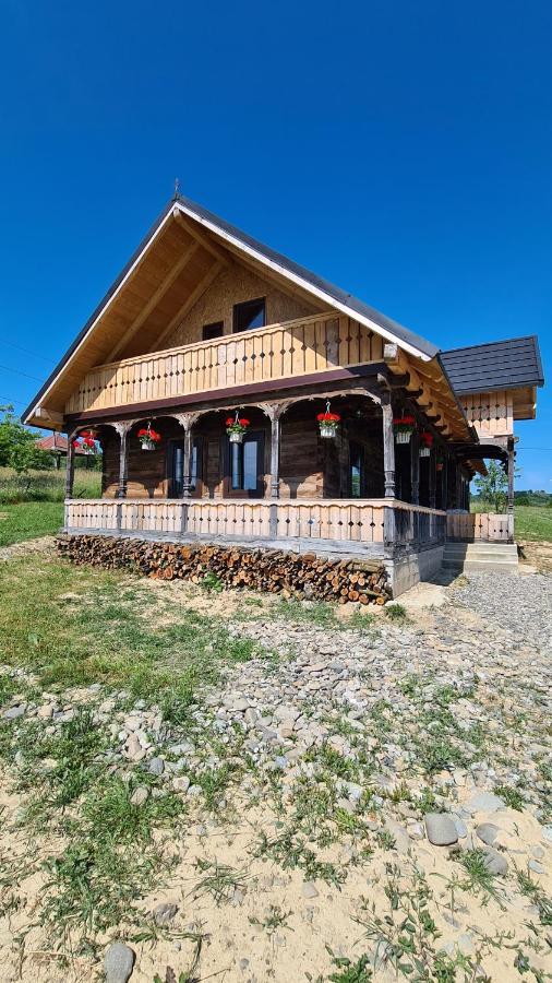 Casa Bunicilor Din Oncesti Villa Екстериор снимка