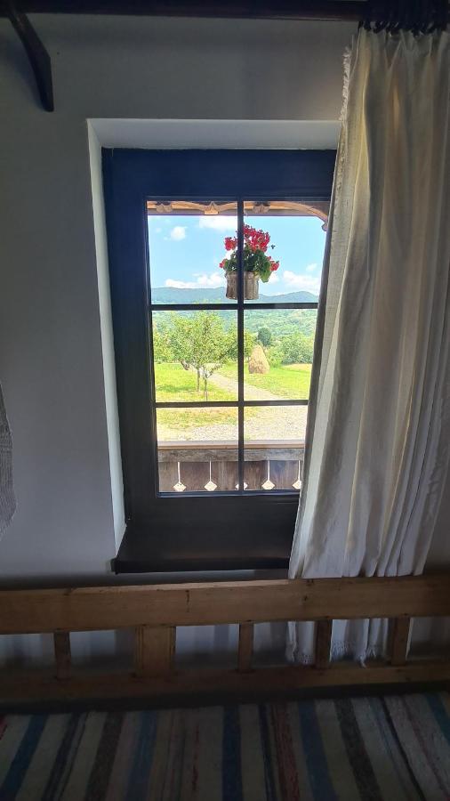 Casa Bunicilor Din Oncesti Villa Екстериор снимка
