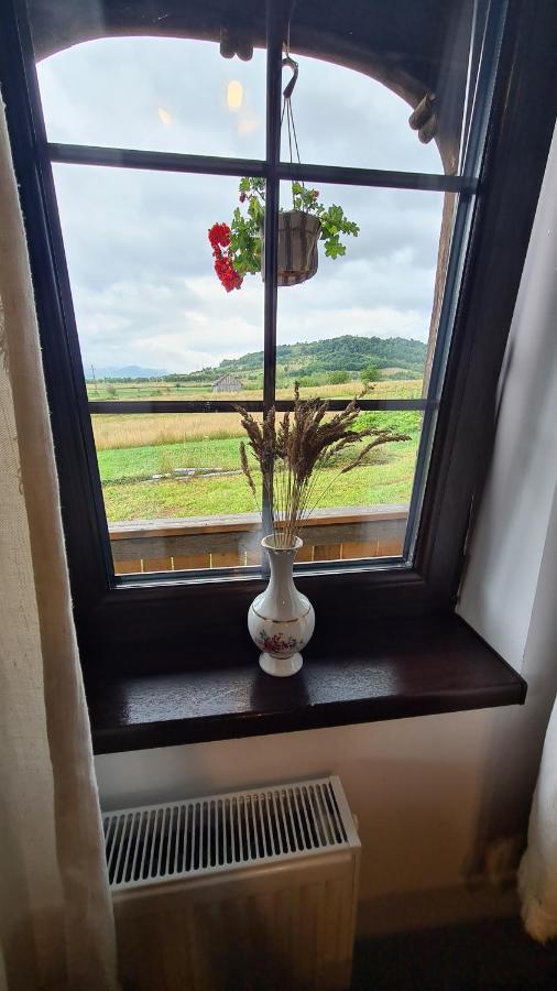 Casa Bunicilor Din Oncesti Villa Екстериор снимка