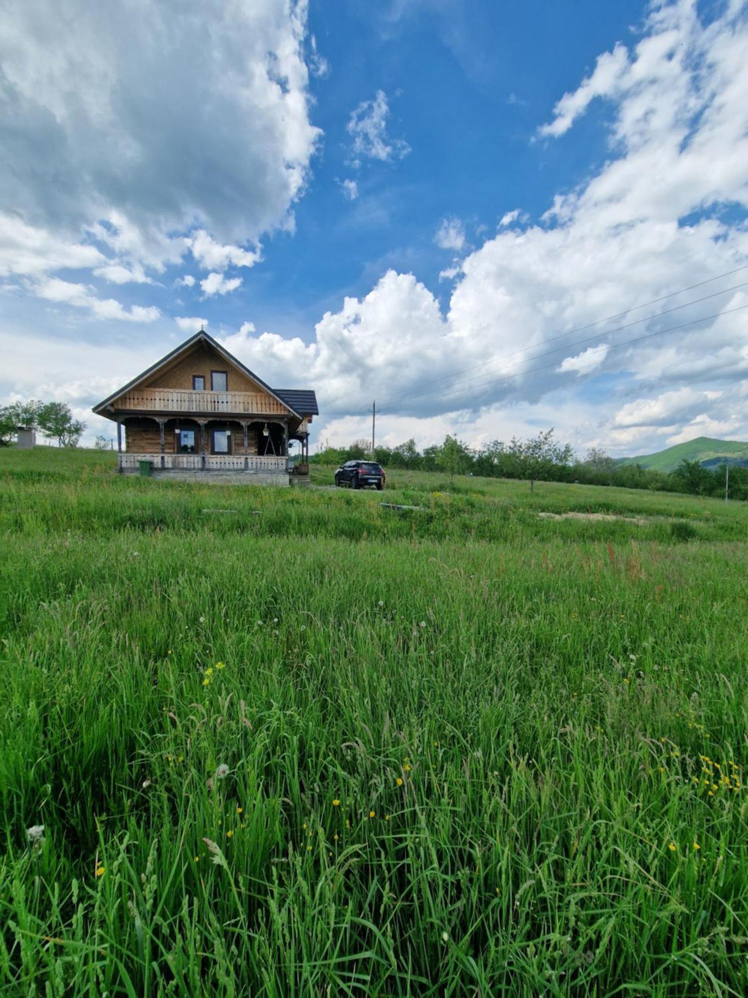 Casa Bunicilor Din Oncesti Villa Екстериор снимка